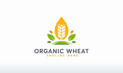 organic wheat logo designs template