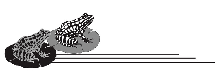 Vector silhouette of a field frog on a white background. Symbol of nature.