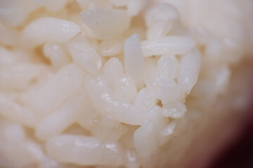 Growth of white fungus or mold on fermented rice