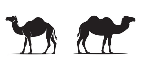 Black silhouette of a walking camel. Camel Vector Illustration. 