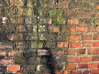 Mossy house walls, dull house walls, aesthetic natural background