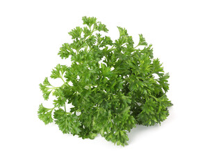 Bunch of fresh parsley isolated on white