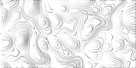 Abstract topographical map illustration in monochrome featuring contours and organic fluid shapes
