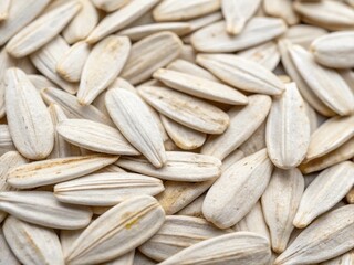 sunflower seeds background