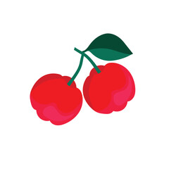Acerola. Berries. A color vector on a white background