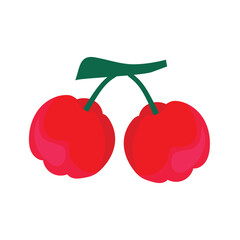 Acerola. Berries. A color vector on a white background