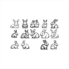 Cute Rabbit With coloring book pages picture,Rabbit line art, Rabbit outline drawing vector illustration, Rabbit vector art