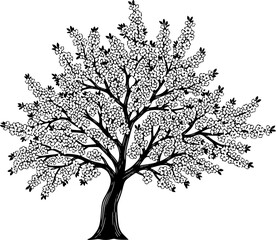 Obraz premium Cherry blossom tree silhouette 