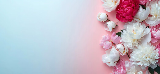 Elegant Peony Flowers Arranged on a Soft Gradient Background