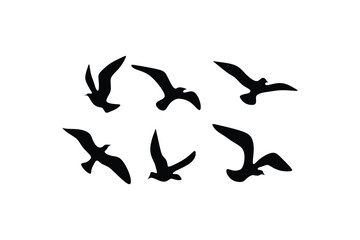 black bird logo vector illustration logo design