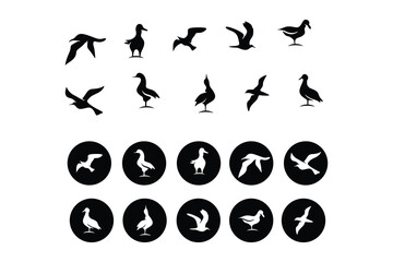 black bird logo vector illustration logo design