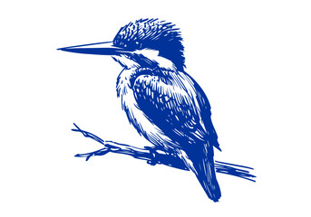Kingfisher bird hand drawn sketch vector illustration