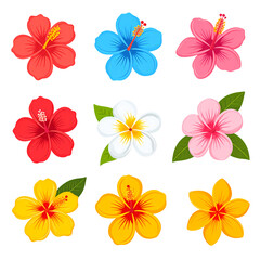 Collection of beautiful hibiscus flower isolated on transparent background, vibrant tropical flowers in a variety of colors. Hibiscus flower clipart. Cute summer clipart