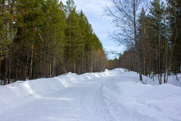  A quiet snow-covered road winds through a forest of pine and leafless trees under a partly cloudy...