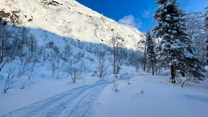 Obraz premium Stunning snowy mountain landscape with bright blue sky, frosted trees, and untouched snow trail. Perfect for winter tourism, holiday cards, nature backgrounds, outdoor adventure, and seasonal design.