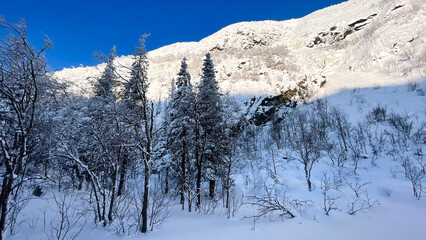  Stunning snowy mountain landscape with bright blue sky, frosted trees, and untouched snow trail. Perfect for winter tourism, holiday cards, nature backgrounds, outdoor adventure, and seasonal design.