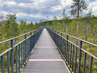 Obraz premium Long pedestrian bridge with metal railings crossing green forest landscape under dramatic cloudy sky. Wooden footbridge through wilderness, concept of journey, adventure, travel, exploration, and nat