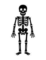 Simple black vector silhouette of a human skeleton. Ideal for Halloween, educational materials, medical designs, or a minimalist, spooky graphic element.