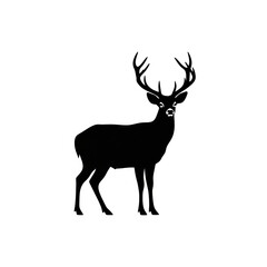 Obraz premium High-Contrast Black Silhouettes of Animals and Insects on Clean White Background – Vector Illustration