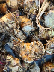 A metal container filled with a variety of dried root vegetables, prominently featuring galangal among them