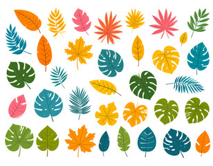 Obraz premium Tropical leaves in various colors and shapes isolated on transparent background. A collection of assorted botanical designs suitable for decorative purposes