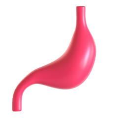 stomach biology 3d icon illustration