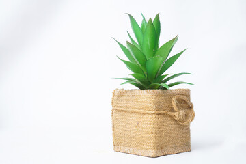 Artificial green plant in burlap sack pot