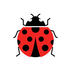 Obraz premium Graphic ladybug illustration with red shell and black spots on a white background