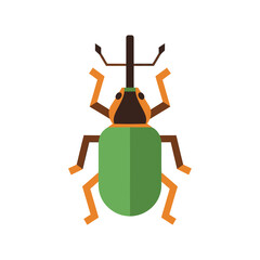 Stylized Beetle Illustration with Geometric Shapes on a White Background