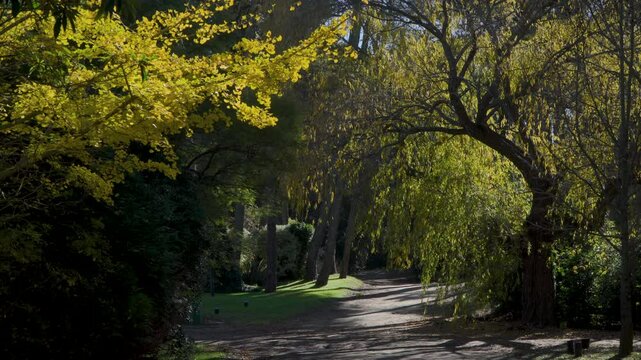 Oto&ntilde;o en el bosque de Carilo