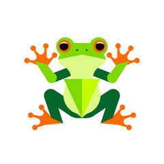 Obraz premium Stylized vector illustration of a cute frog with vibrant green and orange colors