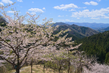 妙義さくらの里