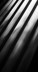 Obraz premium Diagonal black and white stripes, soft shadows