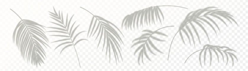 Set of realistic palm leaf shadow isolated on transparent background. Gray blurred shadows of tropical leaves. Design elements for summer banner, flyer, poster, party invitation. Vector illustration
