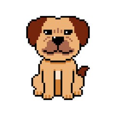 Pixel art a dog vector in retro style