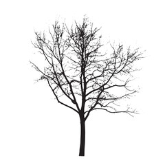 Fototapeta premium Monochrome Aspen Tree Silhouette Clip Art