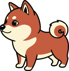 Shiba Inu dog 