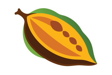 Cocoa Pod Illustration Vector Art on White Background