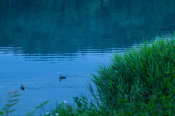 Beautiful colors of Emerald Lake reflection, early morning view.