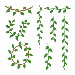 Jungle liana plants. Rainforest liana vines, tropical climbing ivy creepers, exotic ivy creeper flat vector illustration. Cartoon evergreen climbing plant