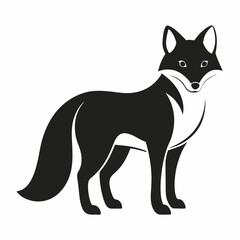 Arctic Fox silhouette on a white background