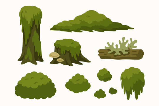 Swamp green moss. Moss plants growing on wood trunks, rainy forest lichen and fungus plants on rotten stumps flat vector illustration set. Cartoon moss collection