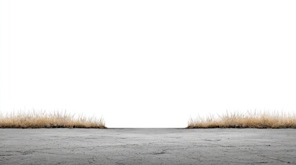 Fototapeta premium Minimalist Landscape with Dry Grass and Empty Space