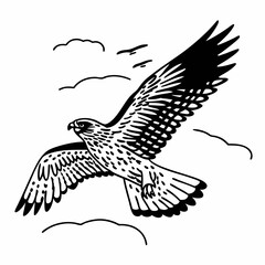 Falcon silhouette in details