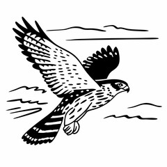 Falcon silhouette in details