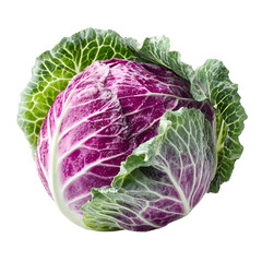 Fresh Purple Cabbage Isolated on Black Background