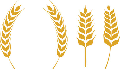 Golden wheat ears symbol for bakery, farm, fresh and healthy food, bread packaging, beer. Rye or barley crop harvest icons. Wheat Stalks on white.
