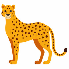 Cheetah on white background 