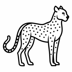 Cheetah on white background 