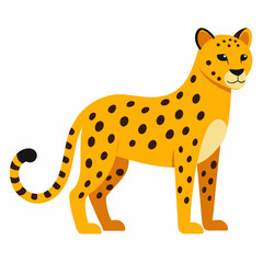 Cheetah on white background 